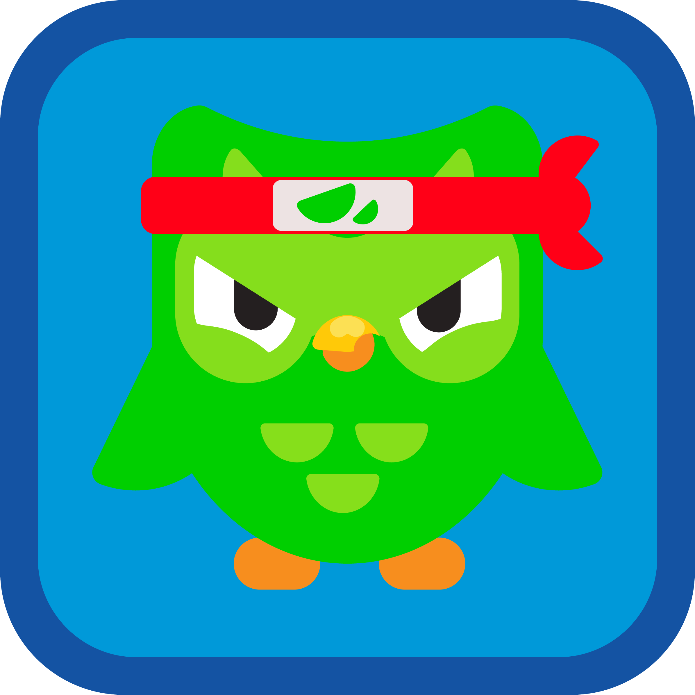duo bird padded